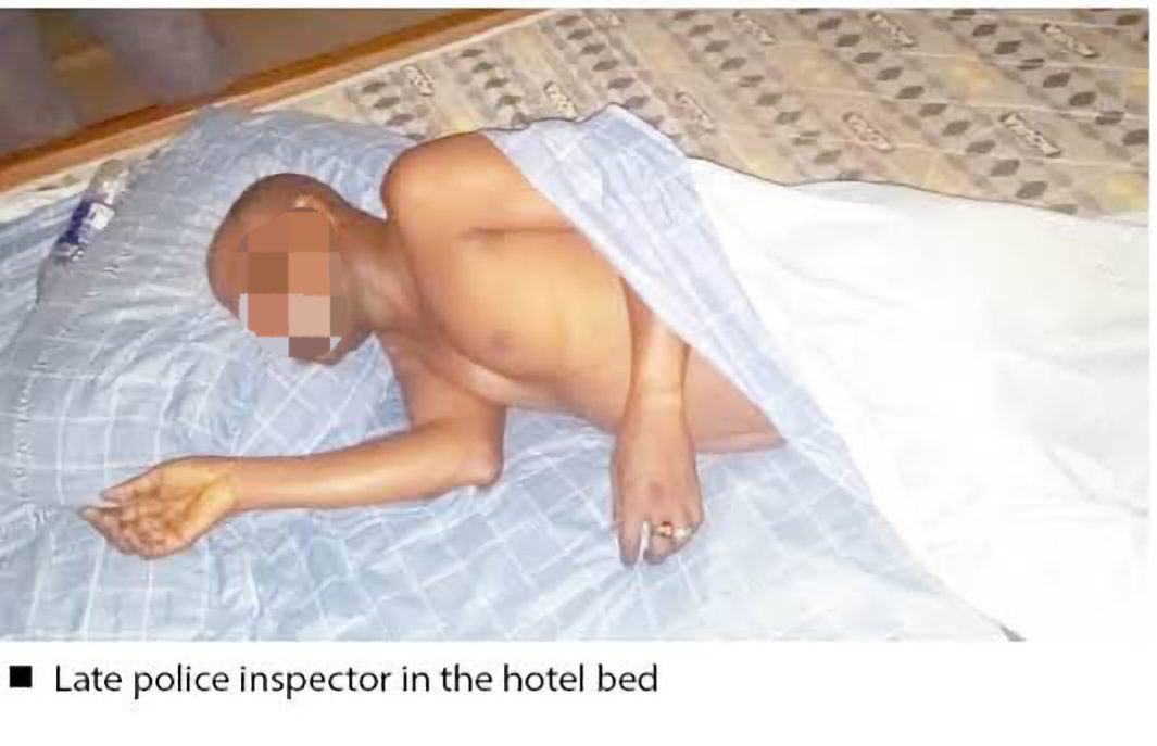 images (4) (1)_resized (1)_1737473180