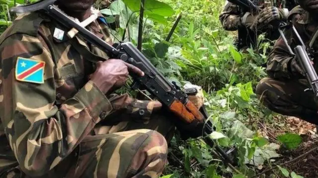 c1685200-8081-11ee-8055-0d96a10b316d.jpg (1)